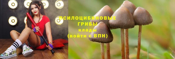 меф Беломорск