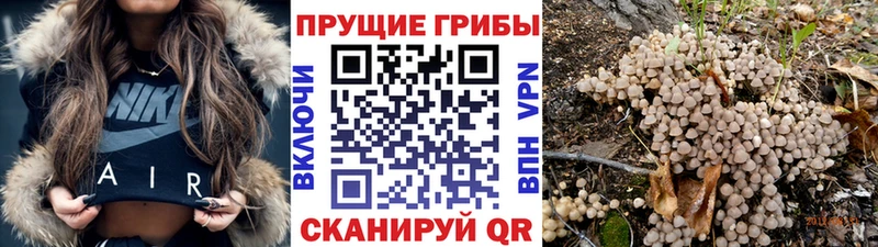 Псилоцибиновые грибы мицелий  Малая Вишера 